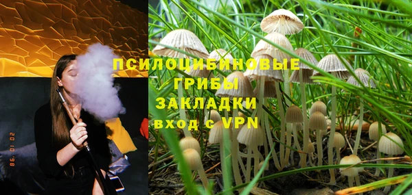 прущие грибы Верхнеуральск