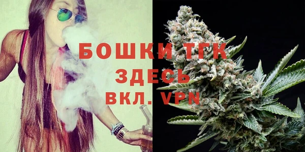 прущие грибы Верхнеуральск