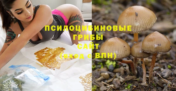 прущие грибы Верхнеуральск