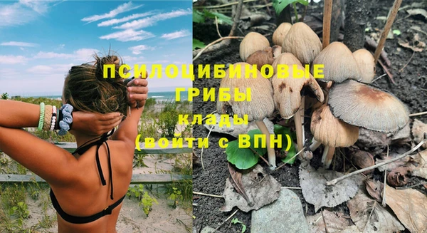 прущие грибы Верхнеуральск